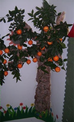 קישוטים לגן ילדים