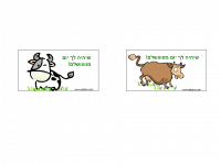 מגנט מגנט