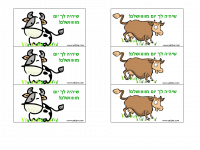 מגנטים מגנטים