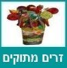 זרים מתוקים